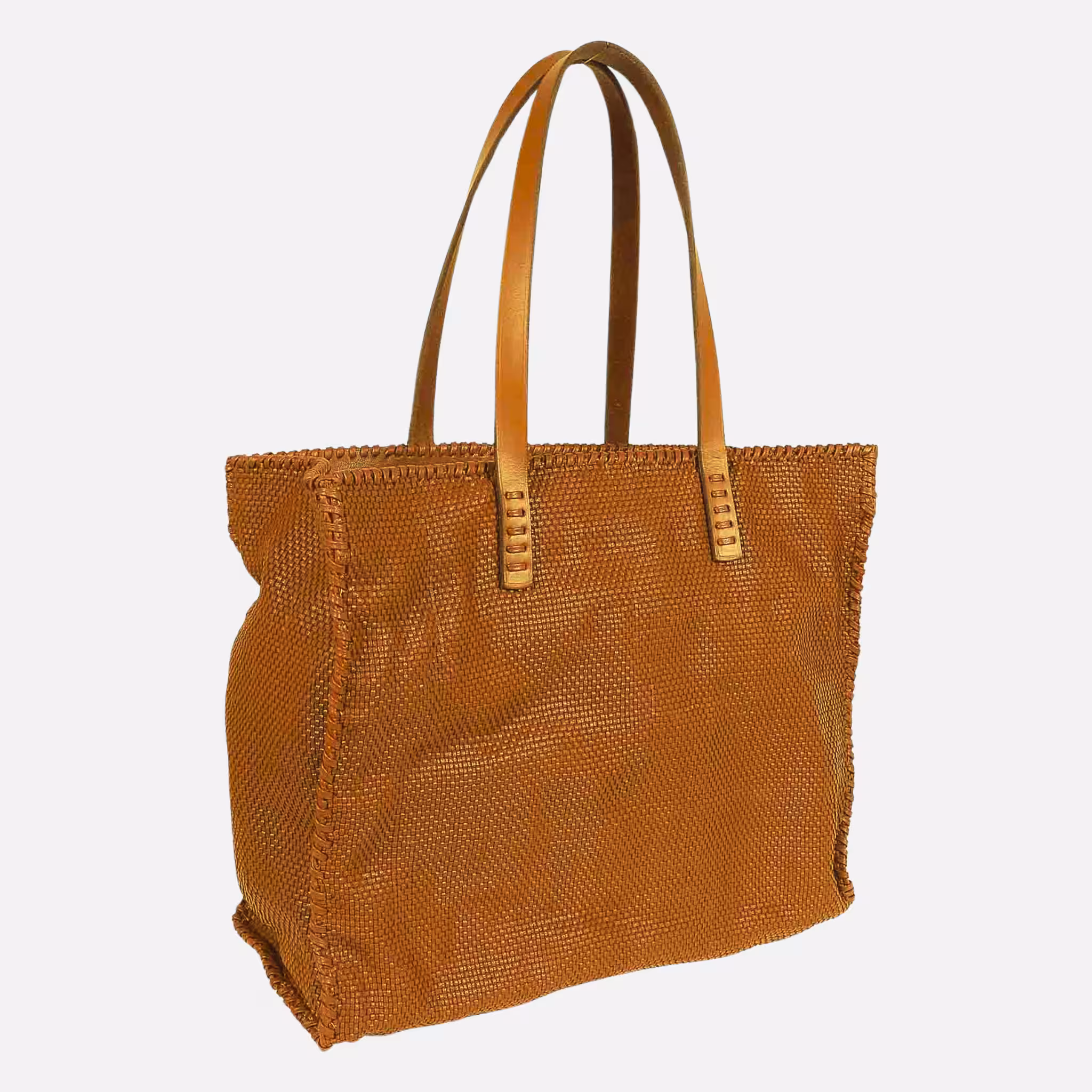 Dragon Diffusion Check Tote Eleganza Intrecciata e Versatilità Quotidiana