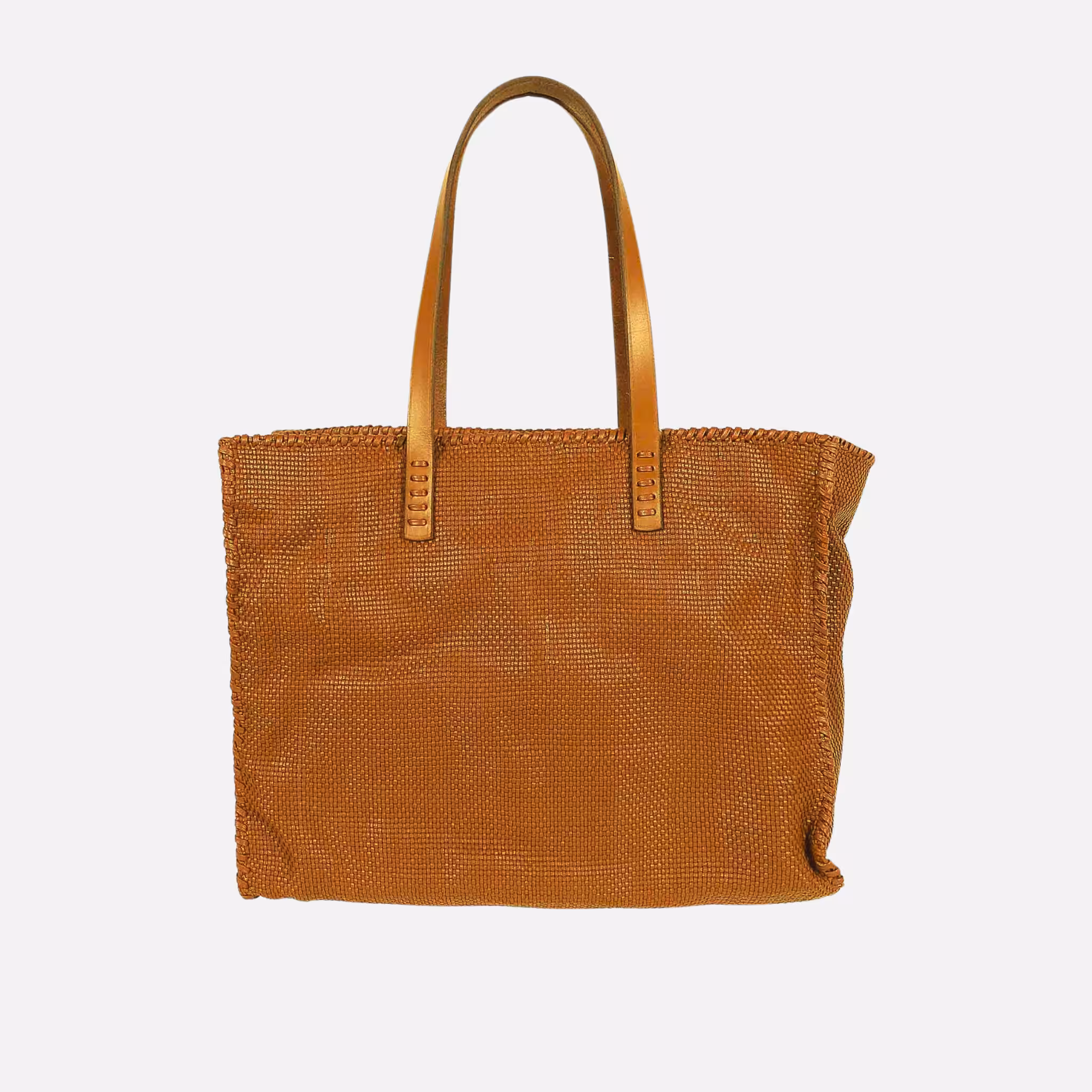 Dragon Diffusion Check Tote Eleganza Intrecciata e Versatilità Quotidiana