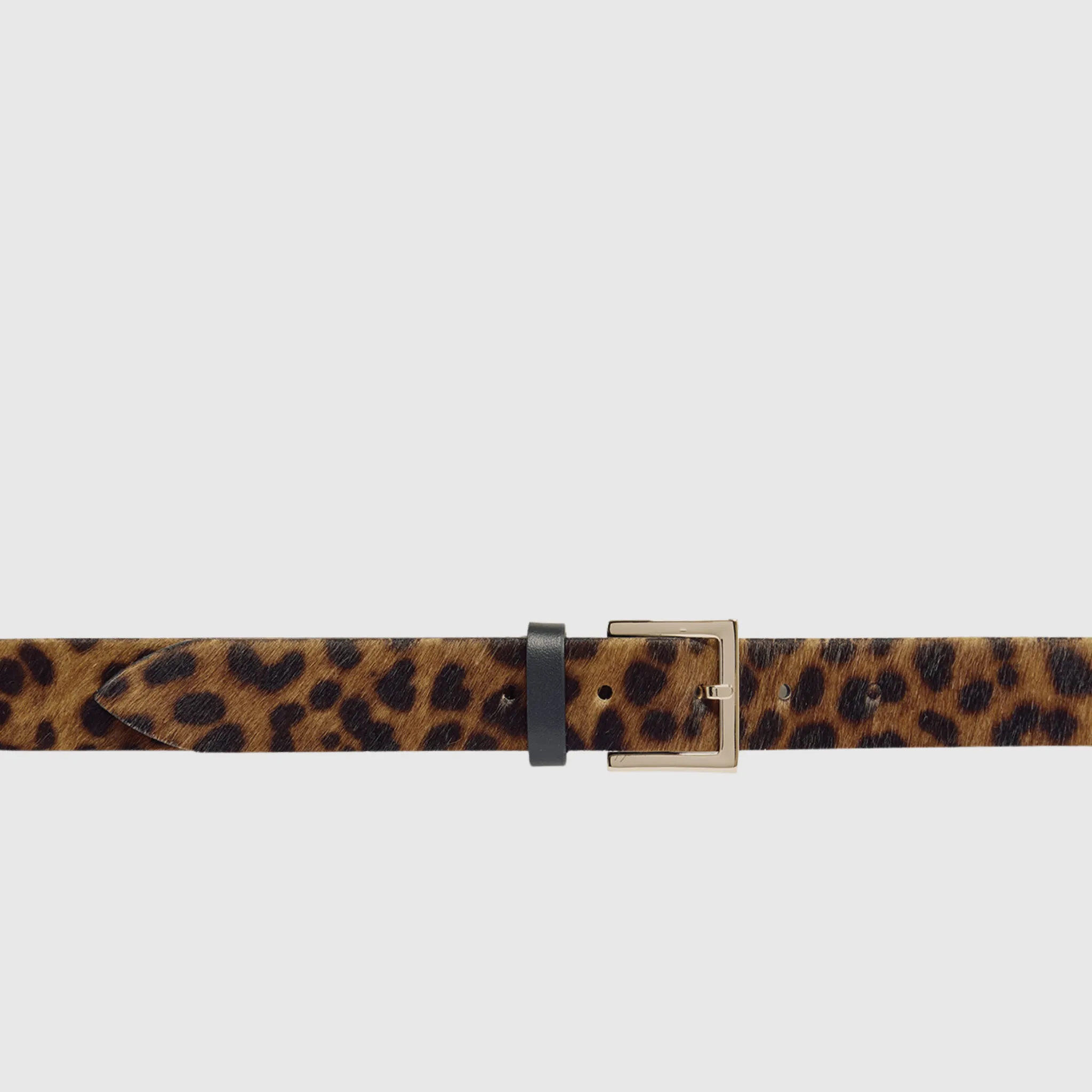 Orciani Cintura LEO in cavallino 3 cm con fibbia in metallo